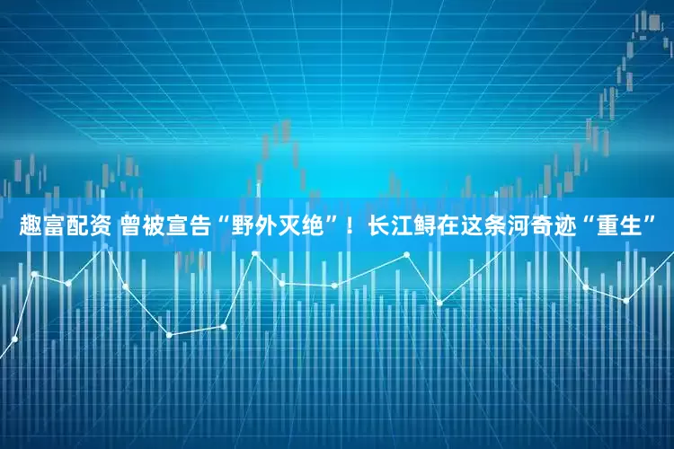 趣富配资 曾被宣告“野外灭绝”！长江鲟在这条河奇迹“重生”